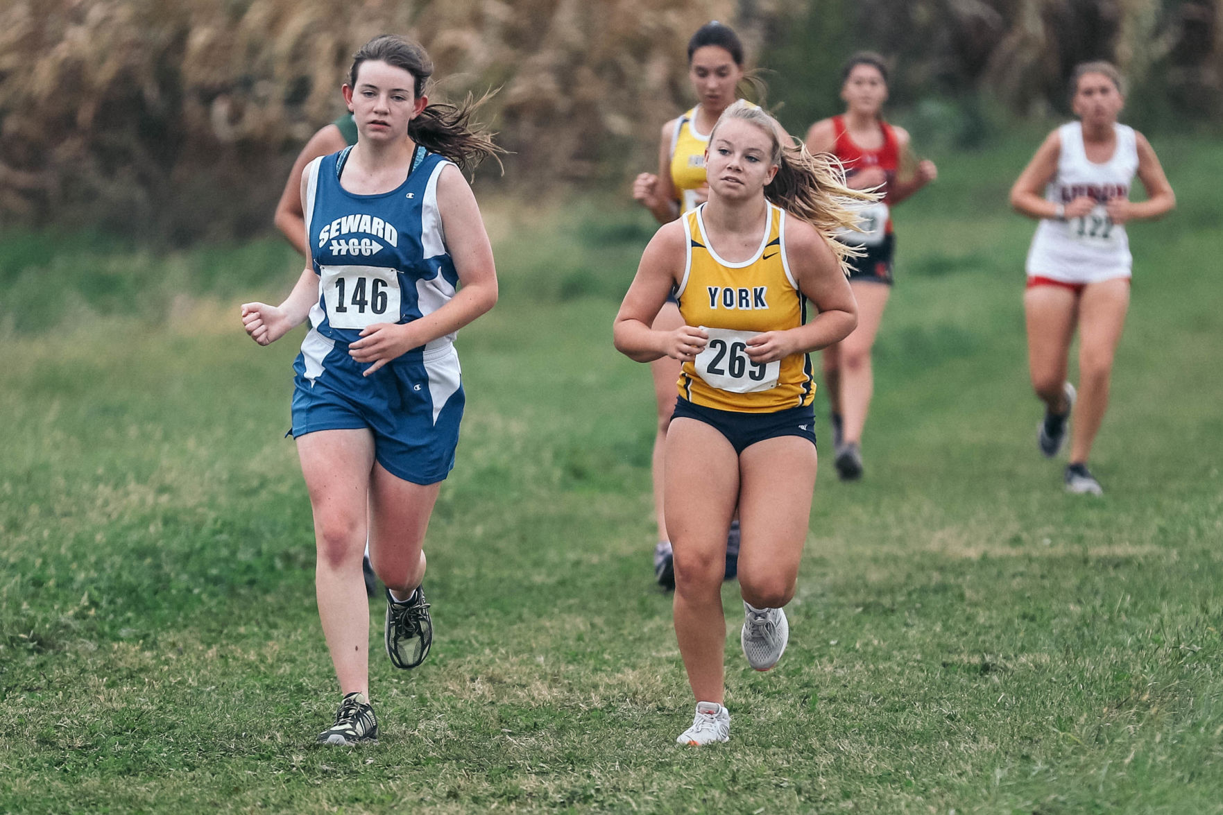 York Central Conference XC (9).jpg